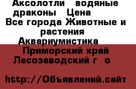 Аксолотли / водяные драконы › Цена ­ 500 - Все города Животные и растения » Аквариумистика   . Приморский край,Лесозаводский г. о. 